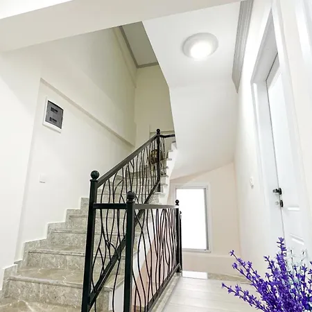 Willa Goel Villalari