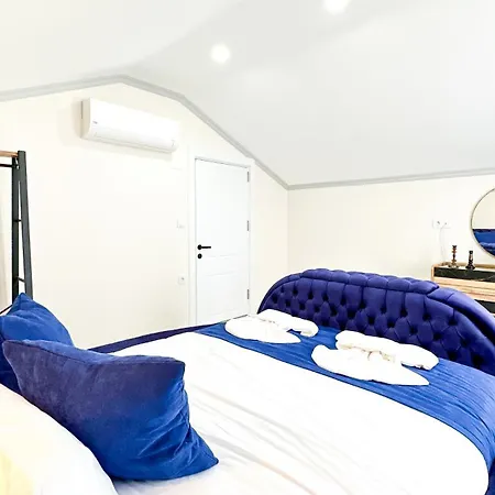 Goel Villalari فيلة *